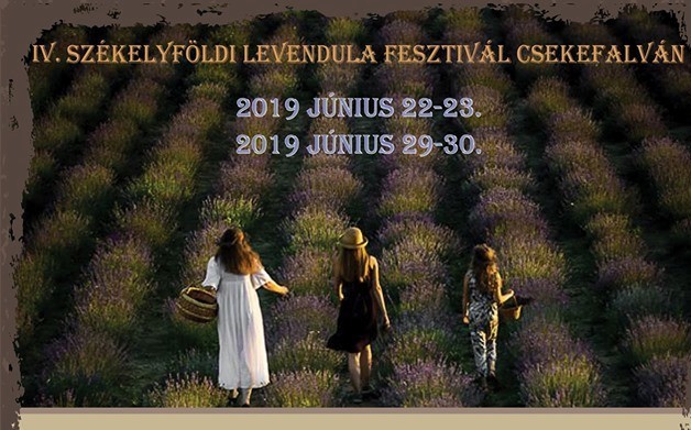 4th Lavender Festival of Szeklerland in Cechești