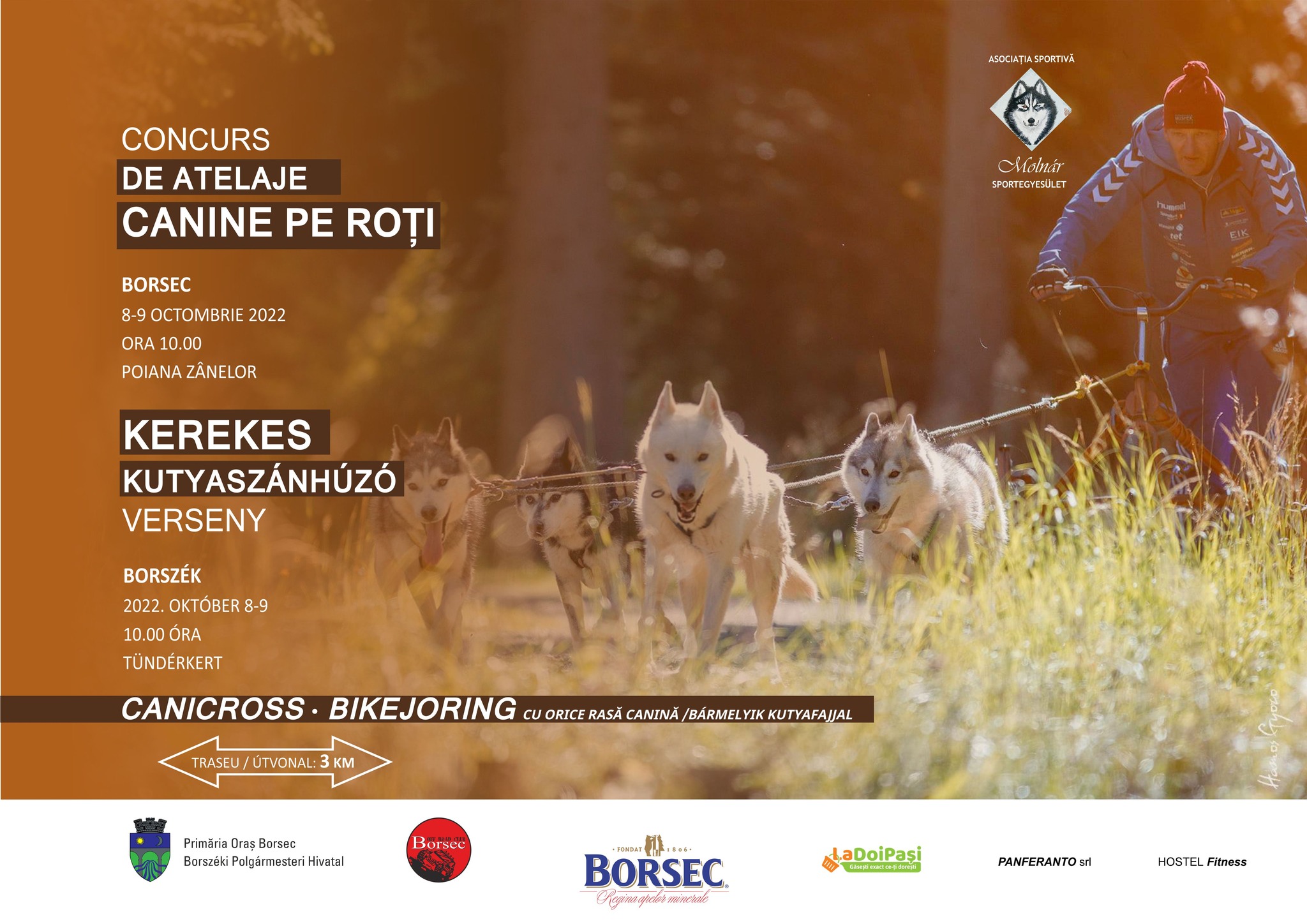 Concurs de Atelaje Canine pe roți și Canicross