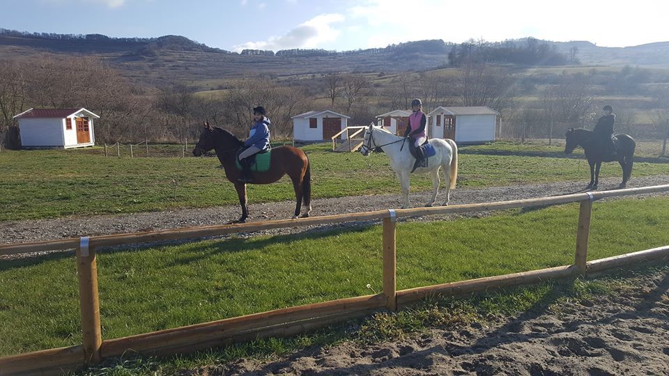 Horse Riding Tour with Sólyom Major