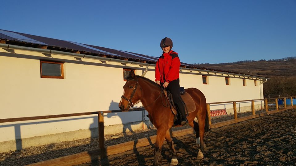 Horse Riding Camp – Sólyom Major