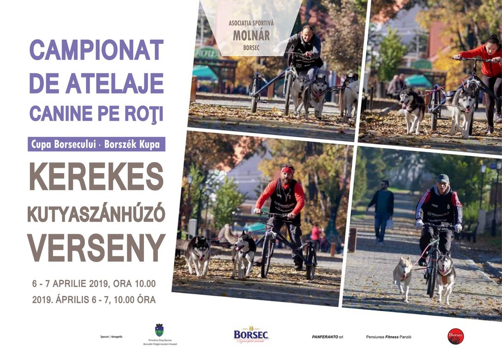 Concurs de atelaje canine pe roți Borsec 2019