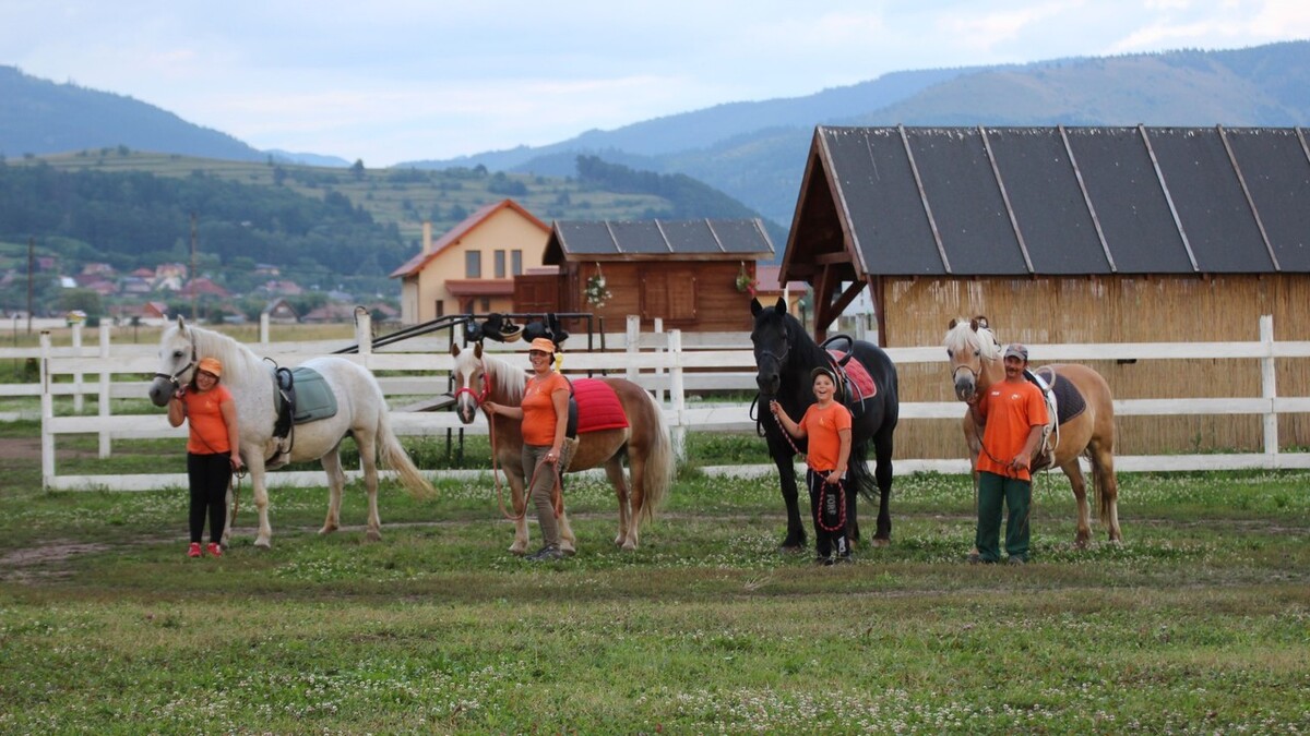 Călărie terapeutică, activități asistate de cai (dezvoltare), voltijă – gimnastică pe cai 