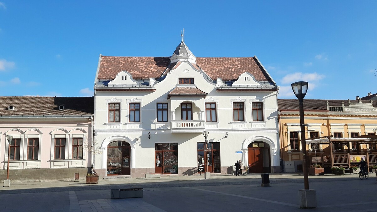 Olt and Upper Mures Museum