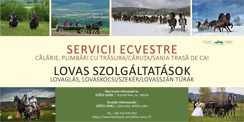 Equestrian services in Tușnad and surroundings