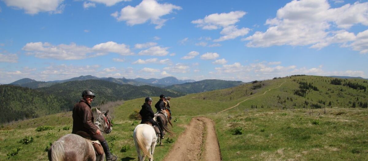 Horse riding day tours in the Eastern Carpathians