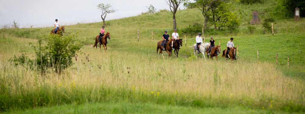 EquiTransylvania - Horseback riding tours and riding vacations for adult riders