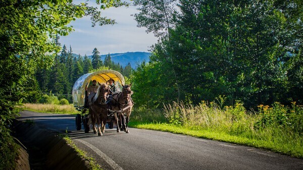 Horse-drawn wagonette rides – Borsec