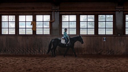 Horseback riding lessons for advanced riders – Borsec
