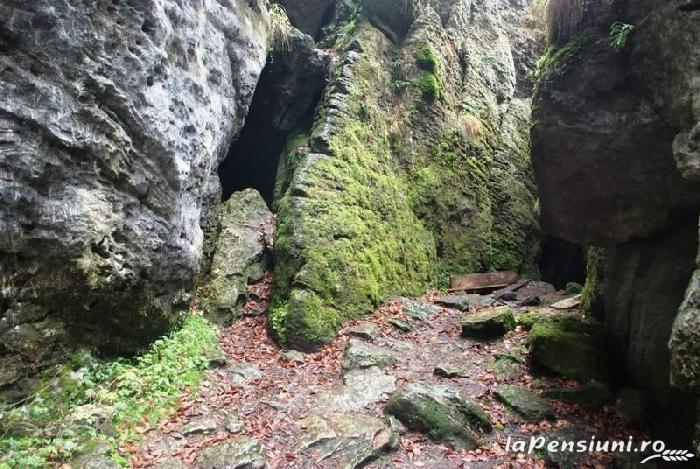 A Medve-barlang