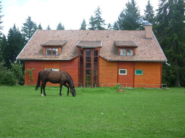 Horse riding at Sopárkút Guesthouse