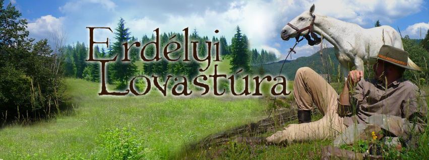 Drumeții cu cai în Transilvania
